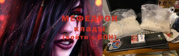 индика Семикаракорск