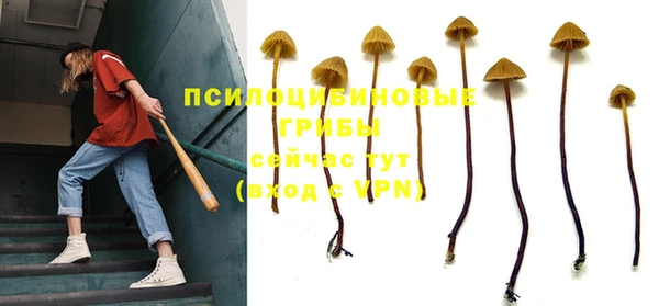 спиды Алексеевка