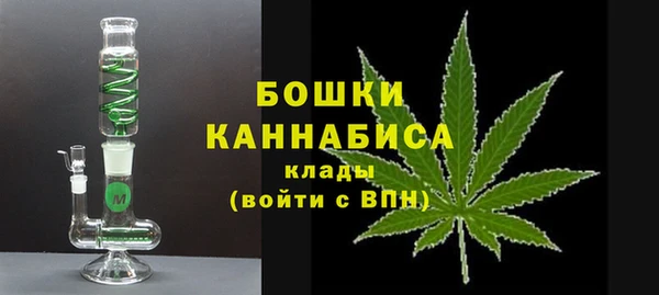 шишки Алексин