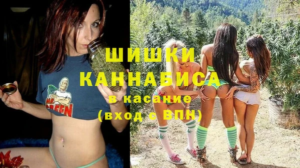 шишки Алексин