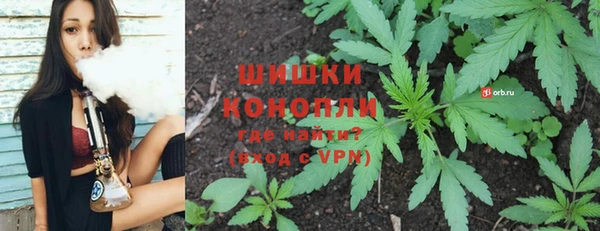 шишки Алексин